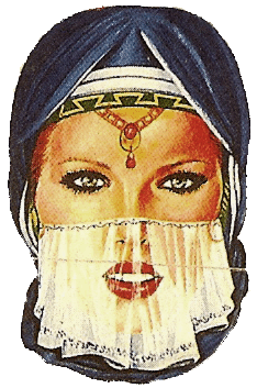 Veil sticker from Cairo