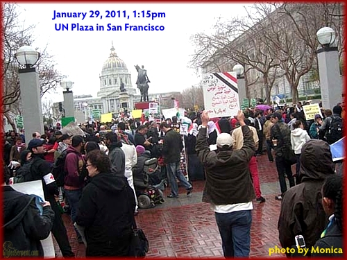Monica's photo from SF protest